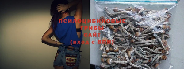 a pvp Аркадак