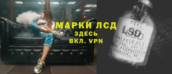 a pvp Аркадак