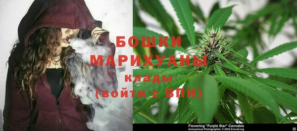 a pvp Аркадак