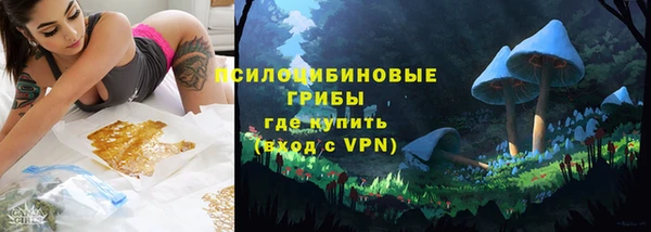 a pvp Аркадак
